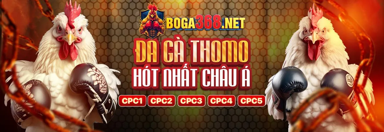 Quy trình đặt cược đá gà 86bet