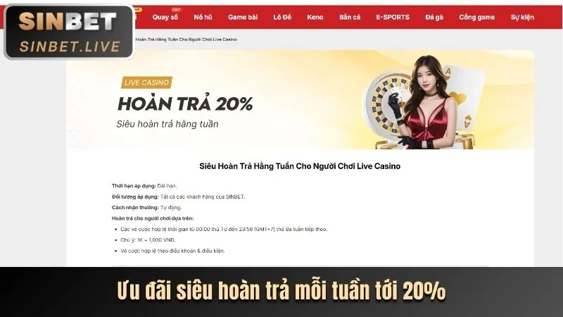Hoàn trả cược thể thao 86bet